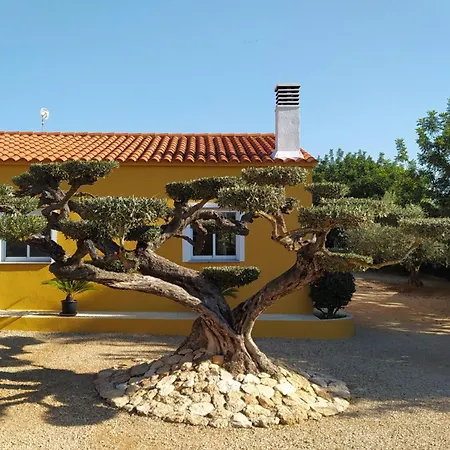 Casa Eli Vakantiehuis L'Ampolla